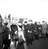 Dop av M/S Norse Lion