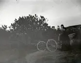 I vursten vid Backuddsgrinden.