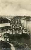 Fiskeflottan i Smögens hamn 1924.