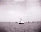 Enligt text som medföljde bilden: 