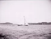 Enligt text som medföljde bilden: 