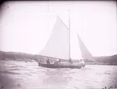 Enligt text som medföljde bilden: 