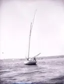 Enligt text som medföljde bilden: 