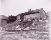 Enligt text som medföljde bilden: 