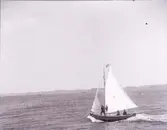 Enligt text som medföljde bilden: 