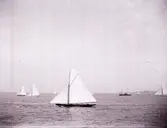 Enligt text som medföljde bilden: 