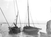 Snörpvadsfiske i december 1906.