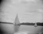 Enligt text som medföljde bilden: 