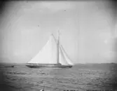 Enligt text som medföljde bilden: 