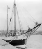 Enligt fotografens notering: 