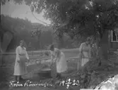 Enligt text skriven på glasplåten: 