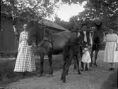Familj tillsammans med två arbetshästar och ett föl på gårdsplanen