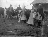 Hos Albert Karlsson och Fredrika Nilsson i Råröd