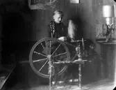 Enligt fotografens noteringar: 