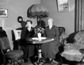 Text som medföljde bilden: 