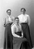 Enligt fotografens journal 1909-1915 no 2: 