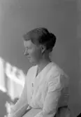 Enligt fotografens journal nr 4 1918-1922: 