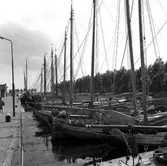 Kopia finns 7x7 (B.M.A.)