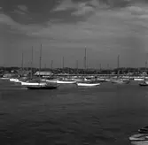 Kopia finns 7x7 (B.M.A.)