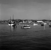 Kopia finns 7x7 (B.M.A.)