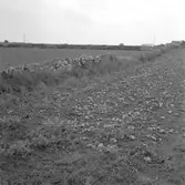 12. Frankrike. Fotojournal finns på B.M.A. + fotoalbum.
12 bilder i serie.