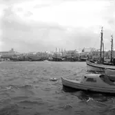 16. Italien. Fotojournal finns på B.M.A. + fotoalbum.
Samtidigt förvärv: Böcker och arkivmaterial.
Foton tagna 1959-10-28.
12 Bilder i serie.