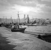 17. Italien. Fotojournal finns på B.M.A. + fotoalbum.
Samtidigt förvärv: Böcker och arkivmaterial.
Foton tagna mellan 1959-10-28 och 1959-10-29.
12 Bilder i serie.