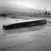 20. Italien. Fotojournal finns på B.M.A. + fotoalbum.
Samtidigt förvärv: Böcker och arkivmaterial.
Foton tagna mellan 1959-10-31 och 1959-11-01.
12 Bilder i serie.