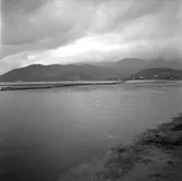 20. Italien. Fotojournal finns på B.M.A. + fotoalbum.
Samtidigt förvärv: Böcker och arkivmaterial.
Foton tagna mellan 1959-10-31 och 1959-11-01.
12 Bilder i serie.