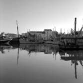 22. Italien. Fotojournal finns på B.M.A. + fotoalbum.
Samtidigt förvärv: Böcker och arkivmaterial.
Foton tagna mellan 1959-11-02 och 1959-11-04. 
12 Bilder i serie.