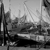 22. Italien. Fotojournal finns på B.M.A. + fotoalbum.
Samtidigt förvärv: Böcker och arkivmaterial.
Foton tagna mellan 1959-11-02 och 1959-11-04. 
12 Bilder i serie.