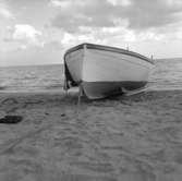 23. Italien. Fotojournal finns på B.M.A. + fotoalbum.
Samtidigt förvärv: Böcker och arkivmaterial.
Foton tagna 1959-11-04.
11 Bilder i serie.