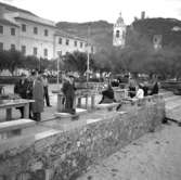 24. Italien. Fotojournal finns på B.M.A. + fotoalbum.
Samtidigt förvärv: Böcker och arkivmaterial.
Foton tagna mellan 1959-11-04 och 1959-11-05.
12 Bilder i serie.