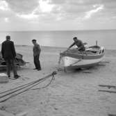 24. Italien. Fotojournal finns på B.M.A. + fotoalbum.
Samtidigt förvärv: Böcker och arkivmaterial.
Foton tagna mellan 1959-11-04 och 1959-11-05.
12 Bilder i serie.