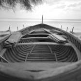 24. Italien. Fotojournal finns på B.M.A. + fotoalbum.
Samtidigt förvärv: Böcker och arkivmaterial.
Foton tagna mellan 1959-11-04 och 1959-11-05.
12 Bilder i serie.