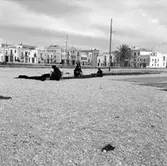 36. Spanien. Fotojournal finns på B.M.A. + fotoalbum.
Samtidigt förvärv: Böcker och arkivmaterial.
Foton tagna 1959-11-10.
12 Bilder i serie.