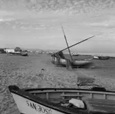 37. Spanien. Fotojournal finns på B.M.A. + fotoalbum.
Samtidigt förvärv: Böcker och arkivmaterial.
Foton tagna mellen 1959-11-10 och 1959-11-11.
12 Bilder i serie.