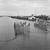 37. Spanien. Fotojournal finns på B.M.A. + fotoalbum.
Samtidigt förvärv: Böcker och arkivmaterial.
Foton tagna mellen 1959-11-10 och 1959-11-11.
12 Bilder i serie.