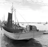 39. Spanien. Fotojournal finns på B.M.A. + fotoalbum.
Samtidigt förvärv: Böcker och arkivmaterial.
Foton tagna mellen 1959-11-11 och 1959-11-12.
12 Bilder i serie.