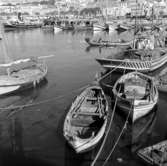 45. Portugal. Fotojournal finns på B.M.A. + fotoalbum.
Samtidigt förvärv: Böcker och arkivmaterial.
Foton tagna 1959-11-15.
12 Bilder i serie.