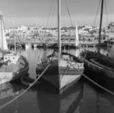 46. Portugal. Fotojournal finns på B.M.A. + fotoalbum.
Samtidigt förvärv: Böcker och arkivmaterial.
Foton tagna 1959-11-15.
12 Bilder i serie.