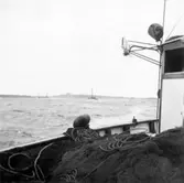 Stämplat på baksidan: Leonar