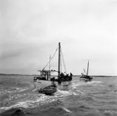 LL1020 Viking - Smögen.