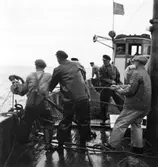 Viola - Smögen. I hytten Knut Andersson, nr 2 fr.v.: Arne Albertsson. Längst t.v.: Valter Askman.