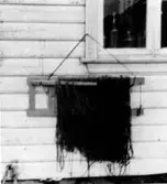 Skrivet på baksidan: Norge 
..ula med backa utlägg. G.M. nr. 13142