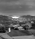 Fotograferat av: Pål-Nils Nilsson / Tio Stockholm Drottninggatan 88c

Skrivet på baksidan: Skärhamn 083-617-1