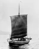 Jakt för styrbords halsar. 

Negativ N.S. 14