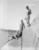 Enligt senare noteringar: 