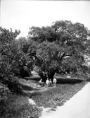 Enligt senare noteringar: 