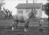 Skulevik vid Färlevsfjorden 1920